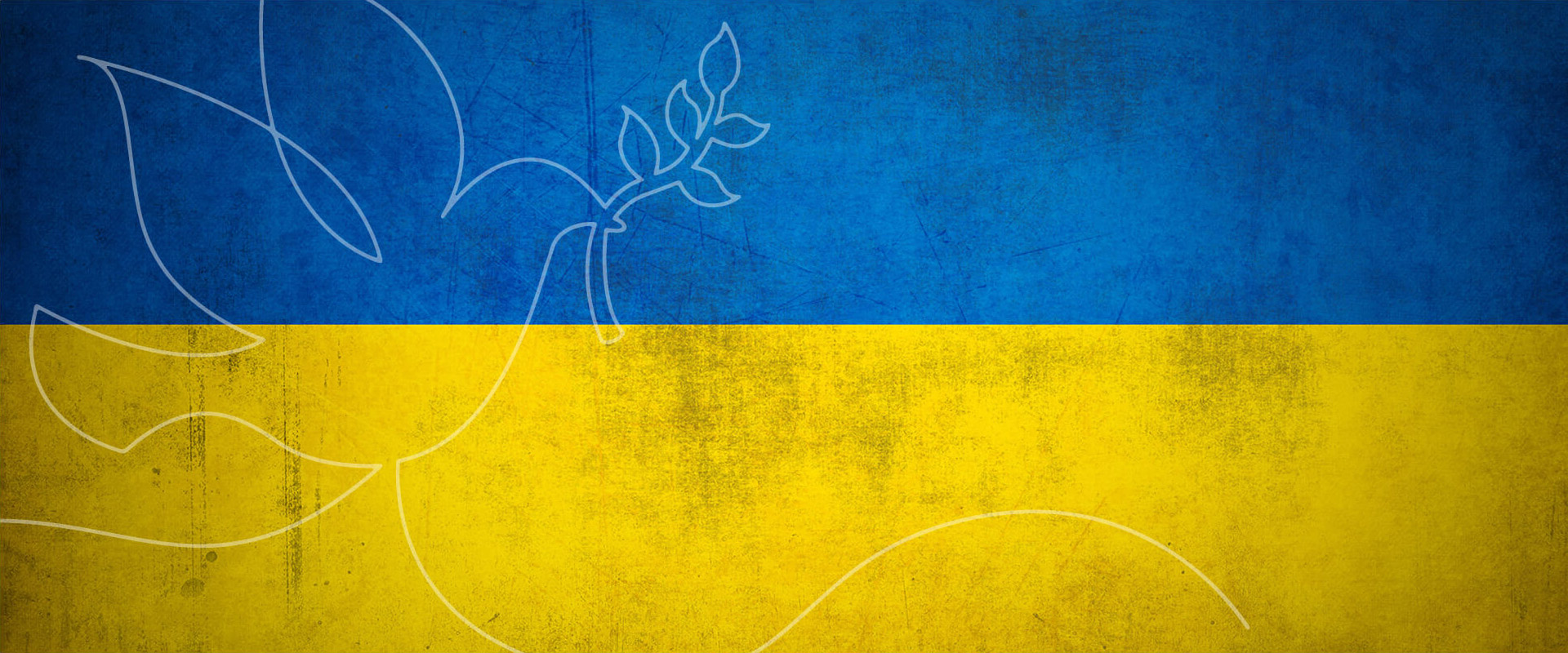 Ukraine Flagge mit Taube